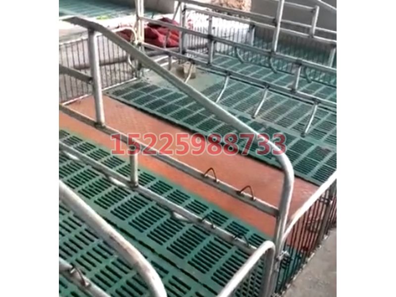 128套母豬產床安裝